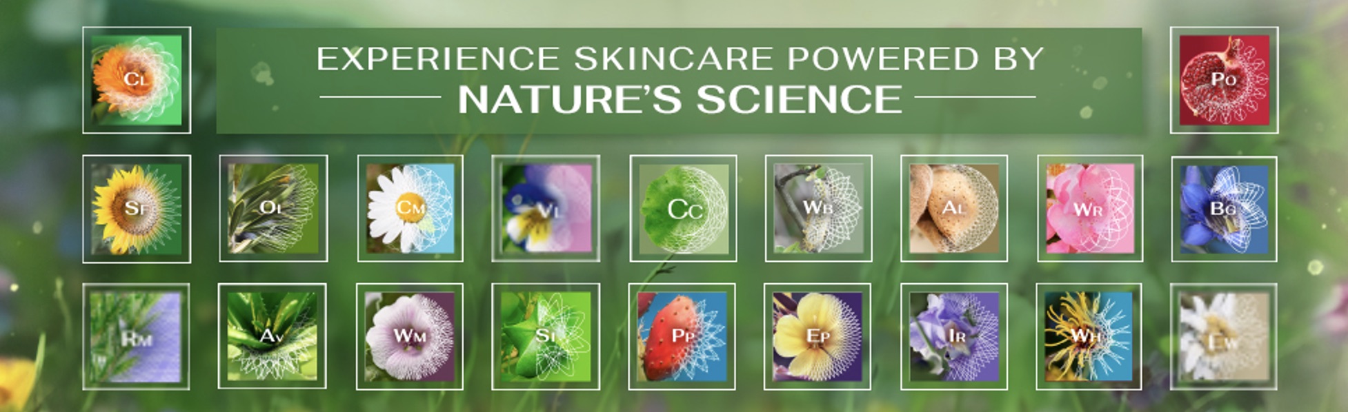 Nature's Science Periodic Table